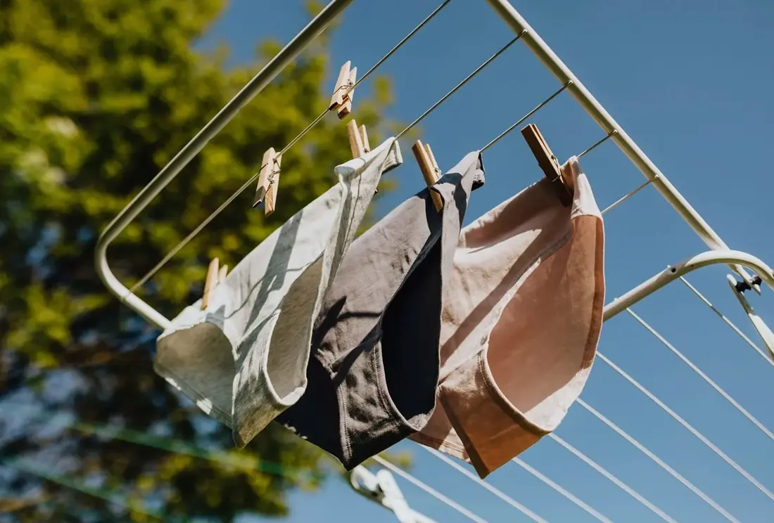 Bras and panties pegged to a drying rack against a blue sky